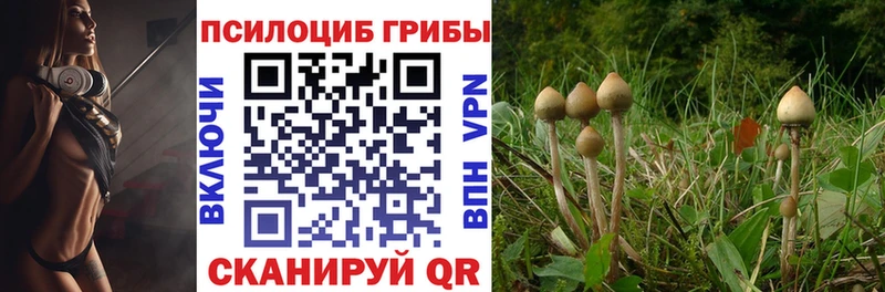 Галлюциногенные грибы MAGIC MUSHROOMS  Сызрань 