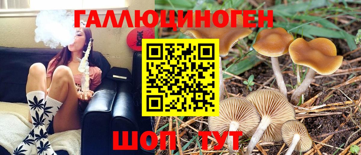 Галлюциногенные грибы мухоморы  Вход с VPN  Галлюциногенные грибы Psilocybe  Сызрань 